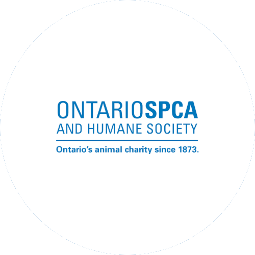 Ontario spca